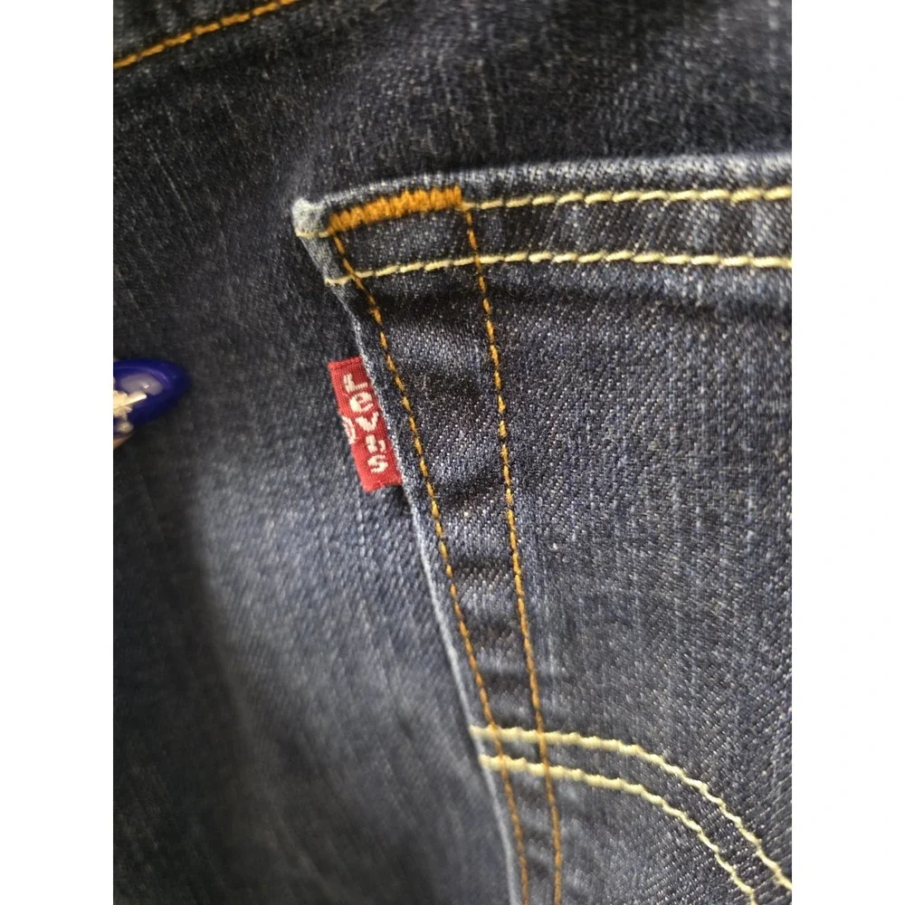 Levis levi 541
